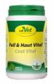 Fell - Haut Katze