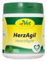 Herz - Kreislauf